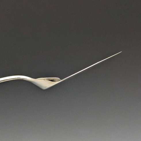 Around 1890 English antique silver plate jam spoon pair in case